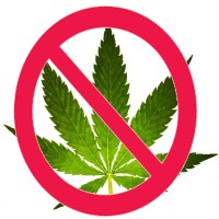 Säg Nej till Cannabis