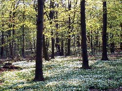 S�der�sen en v�rdag