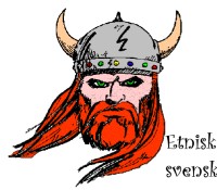 Viking - etnisk svensk